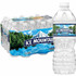Nestle S.A Nestle 101243PL Nestle Premium Bottled Spring Water