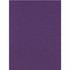 Dixon Ticonderoga Company Dixon 103019 Tru-Ray Construction Paper