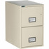 Phoenix Safe International, LLC Phoenix LTR2W25P Phoenix World Class Vertical File - 2-Drawer