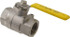 Apollo. 7610627 Standard Manual Ball Valve: 1-1/4" Pipe