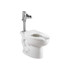 American Standard 3461576.020 Toilets; Bowl Shape: Elongated