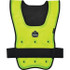 Ergodyne 12685 Size L/XL, Lime Cooling Vest