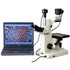 AmScope IN200TB-10M3 Microscopes; Microscope Type: Stereo ; Eyepiece Type: Trinocular ; Image Direction: Upright ; Eyepiece Magnification: 10x