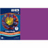 Dixon Ticonderoga Company Dixon 103032 Tru-Ray Heavyweight Construction Paper