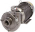 American Machine & Tool 315A-999-95 AC Straight Pump: 230V, 3 hp, 1 Phase, Cast Iron Housing, Stainless Steel Impeller