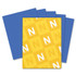 Neenah Paper, Inc Astrobrights 22081 Astrobrights Color Paper - Violet