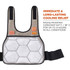 Tenacious Holdings, Inc Chill-Its 12010 Chill-Its 6230 Safety Vest