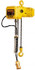 Harrington Hoist SNER005L-10 Electric Chain Hoist: