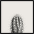 UNIEK INC. Amanti Art A42705345770  Haze Cactus Succulent Tall by The Creative Bunch Wood Framed Wall Art Print, 25inH x 25inW, Black