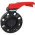 Hayward Flow Control BYCS1040E1GGA Manual Butterfly Valve: 4" Pipe, Gear Handle