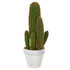 NEARLY NATURAL INC. 4335 Nearly Natural Cactus Succulent 18in Artificial Plant With Planter, 18inH x 7inW x 6inD, Green
