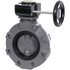 Hayward Flow Control BYV11120A0EGI00 Manual Butterfly Valve: 12" Pipe, Gear Handle