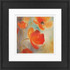 LCO DESTINY LLC Timeless Frames 55213  Alexis Framed Floral Artwork, 8in x 8in, Black Frame, Poppies In Bloom I