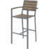 KENTUCKIANA FOAM INC KFI Studios 840031918239  Eveleen Outdoor Barstool, Mocha/Silver