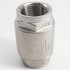 Guardian Worldwide 06H021N01010 Check Valve: 1" Pipe