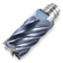 Ingersoll Cutting Tools 2928021 Corner Radius & Corner Chamfer End Mill Heads; Number Of Flutes: 9 ; Coating/Finish: TiAlN ; End Mill Material: Carbide ; Overall Length (Decimal Inch): 2.0670 ; Mill Diameter (Decimal Inch): 1.0000 ; Corner Radius (De