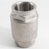 Guardian Worldwide 06H021N01012 Check Valve: 1/2" Pipe