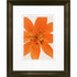 LCO DESTINY LLC 55300 Timeless Frames Marren Espresso-Framed Floral Artwork, 8in x 10in, Tiger Lilly In Bloom