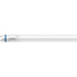 Philips 469577 LED Lamp: Tubular Style, 10 Watts, T8, Medium Bi-Pin Base