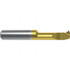 Guhring 9251640040060 Grooving Tool: Internal