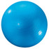DICK MARTIN SPORTS Martin Sports Exercise Ball, 24", Blue