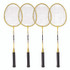 CHAMPION SPORT Sports CG203 Deluxe Badminton Tournament Set, 28" x 11"
