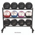 CHAMPION SPORT Sports RPXRACK RPX Medicine Ball Rack, Metal, 220 lb Capacity, 18.5 x 62 x 45, Black