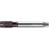 Walter-Prototyp 6432563 Spiral Point Tap: MF10x1.25 Metric Fine, 3 Flutes, Plug Chamfer, 6H Class of Fit, High-Speed Steel-E-PM, THL Coated