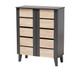 WHOLESALE INTERIORS, INC. 2721-9158 Baxton Studio Melle 2-Tone 2-Door Entryway Shoe Storage Cabinet, Oak Brown/Dark Gray