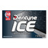 MONDELEZ INTERNATIONAL Dentyne Ice® AMC31240 Sugarless Gum, Arctic Chill, 16 Pieces/Pack, 9 Packs/Box