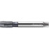 Walter-Prototyp 7511525 Spiral Point Tap: MF12x1.25 Metric Fine, 4 Flutes, Plug Chamfer, 6H Class of Fit, High-Speed Steel-E-PM, TiCN Coated