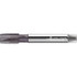 Walter-Prototyp 5664572 Spiral Point Tap: MF12x1 Metric Fine, 4 Flutes, Plug Chamfer, 6H Class of Fit, High-Speed Steel-E-PM, AlCrN Coated