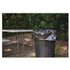 STOUT by Envision™ P4045K20 Insect-Repellent Trash Bags, 45 gal, 2 mil, 40" x 45", Black, 65/Box