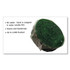 FRESH PRODUCTS EUB144CF Eco-Fresh Urinal Block, Non-Para, Green Apple Scent, Green, 12/Box, 12 Boxes/Carton