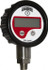 Winters DPG215 Pressure Gauge: 2-1/2" Dial, 0 to 160 psi, 1/4" Thread, NPT, Lower Mount