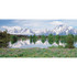 Biggies WM-MFW-120  Wall Mural, 60in x 120in, Mountain Flower