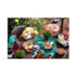 PACTIV EVERGREEN CORPORATION SACLF07 EarthChoice Square Recycled Bowl Flat Lid, 7.38 x 7.38 x 0.26, Clear, Plastic, 300/Carton
