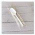 BOARDWALK SPOONMWPPIW Mediumweight Wrapped Polypropylene Cutlery, Spoon, 5.31", Plastic, White, 1,000/Carton