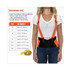 TENACIOUS HOLDINGS, INC. ergodyne® 11887 ProFlex 100HV Economy Hi-Vis Spandex Back Support Brace, 3X-Large, 46" to 52" Waist, Black/Orange