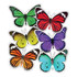 CARSON-DELLOSA PUBLISHING LLC 120563 Schoolgirl Style Cut-Out Decorations, Woodland Whimsy Butterflies, Pack Of 36 Decorations