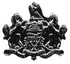 Hero's Pride 8197N Pennsylvania Crest Collar - 3/4'' Wide