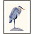 UNIEK INC. Amanti Art A42705534078  Heron Study II by Melissa Wang Wood Framed Wall Art Print, 41inH x 33inW, Gray