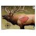 Birchwood Casey BC-35404 PREGAME 16.5 x 24 Inch Elk, 3 Targets