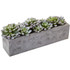 NEARLY NATURAL INC. 4544 Nearly Natural Succulent 5-1/2inH Plastic Garden With Textured Concrete Planter, 5-1/2inH x 13-1/2inW x 4-1/2inD, Green