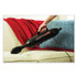 METROVAC 105105633 Electrasweep with Turbo Pet Brush, Black