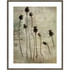 UNIEK INC. Amanti Art A42705535984  Poppy Seedlings by Nel Talen Wood Framed Wall Art Print, 33inW x 41inH, Gray