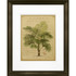 LCO DESTINY LLC Timeless Frames 55255  Marren Espresso-Framed Floral Artwork, 16in x 20in, Le Jardin De Monte Carlo
