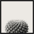 UNIEK INC. Amanti Art A42705345779  Haze Cactus Succulent by The Creative Bunch Wood Framed Wall Art Print, 25inH x 25inW, Black