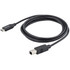 STARTECH.COM USB2CB2M  2m 6ft USB C to USB B Cable - Black