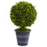 NEARLY NATURAL INC. 4560 Nearly Natural 23inH Plastic Boxwood Ball Topiary With Planter, Green